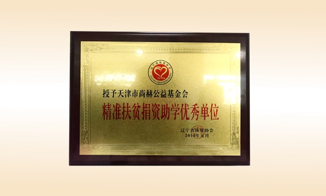 2018年1月-大江网页版_大江（中国）公益基金会荣获-精准扶贫捐资助学优秀单位奖牌