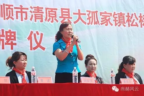 第54所 清原县大孤家镇松树嘴大江网页版_大江（中国）马金荣小学