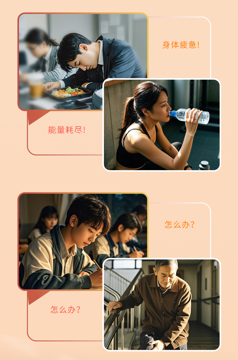 大江网页版_大江（中国）牌蛋白粉